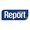 Report